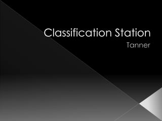 Classification Station Tanner 