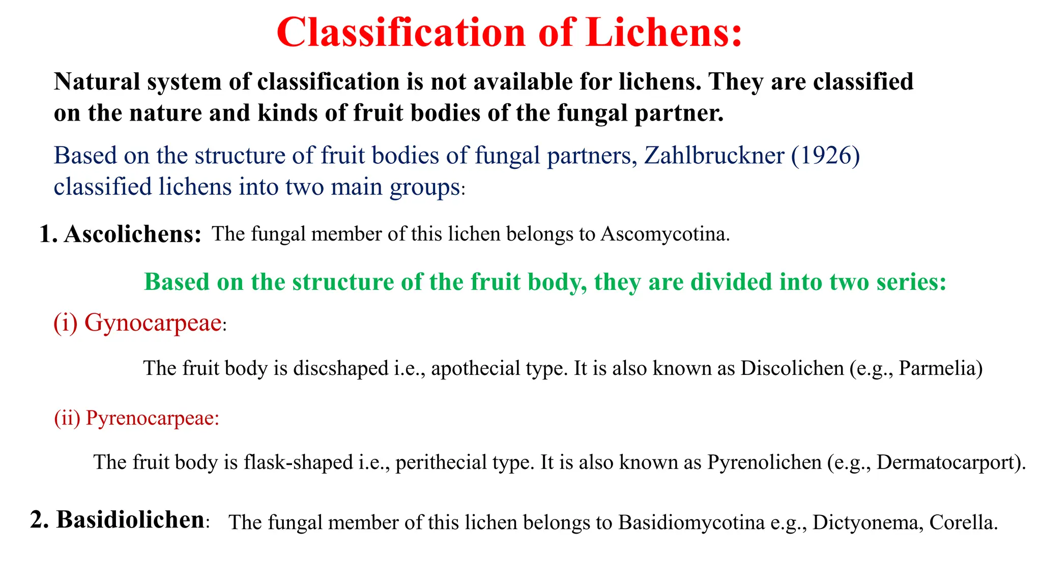 Classification of Lichens:
Natural system of classification is not available for lichens. They are classified
on the nature and kinds of fruit bodies of the fungal partner.
Based on the structure of fruit bodies of fungal partners, Zahlbruckner (1926)
classified lichens into two main groups:
1. Ascolichens: The fungal member of this lichen belongs to Ascomycotina.
Based on the structure of the fruit body, they are divided into two series:
(i) Gynocarpeae:
The fruit body is discshaped i.e., apothecial type. It is also known as Discolichen (e.g., Parmelia)
(ii) Pyrenocarpeae:
The fruit body is flask-shaped i.e., perithecial type. It is also known as Pyrenolichen (e.g., Dermatocarport).
2. Basidiolichen: The fungal member of this lichen belongs to Basidiomycotina e.g., Dictyonema, Corella.
 