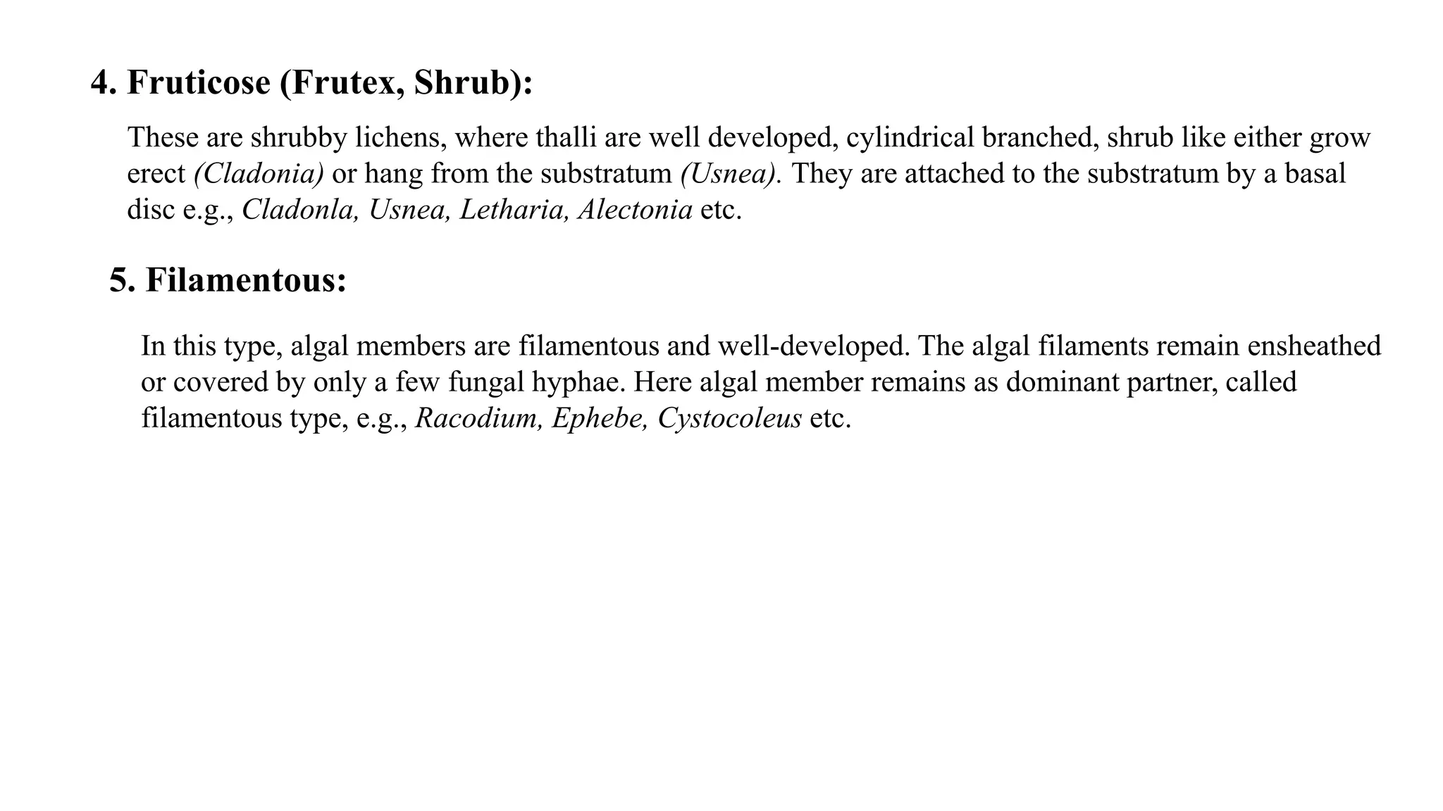 4. Fruticose (Frutex, Shrub):
These are shrubby lichens, where thalli are well developed, cylindrical branched, shrub like either grow
erect (Cladonia) or hang from the substratum (Usnea). They are attached to the substratum by a basal
disc e.g., Cladonla, Usnea, Letharia, Alectonia etc.
5. Filamentous:
In this type, algal members are filamentous and well-developed. The algal filaments remain ensheathed
or covered by only a few fungal hyphae. Here algal member remains as dominant partner, called
filamentous type, e.g., Racodium, Ephebe, Cystocoleus etc.
 