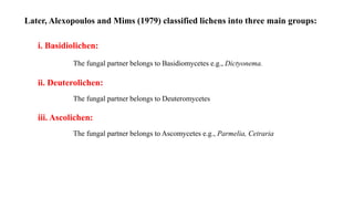 Later, Alexopoulos and Mims (1979) classified lichens into three main groups:
i. Basidiolichen:
The fungal partner belongs to Basidiomycetes e.g., Dictyonema.
ii. Deuterolichen:
The fungal partner belongs to Deuteromycetes
iii. Ascolichen:
The fungal partner belongs to Ascomycetes e.g., Parmelia, Cetraria
 