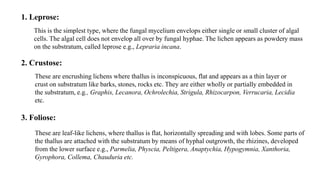 1. Leprose:
This is the simplest type, where the fungal mycelium envelops either single or small cluster of algal
cells. The algal cell does not envelop all over by fungal hyphae. The lichen appears as powdery mass
on the substratum, called leprose e.g., Lepraria incana.
2. Crustose:
These are encrushing lichens where thallus is inconspicuous, flat and appears as a thin layer or
crust on substratum like barks, stones, rocks etc. They are either wholly or partially embedded in
the substratum, e.g., Graphis, Lecanora, Ochrolechia, Strigula, Rhizocarpon, Verrucaria, Lecidia
etc.
3. Foliose:
These are leaf-like lichens, where thallus is flat, horizontally spreading and with lobes. Some parts of
the thallus are attached with the substratum by means of hyphal outgrowth, the rhizines, developed
from the lower surface e.g., Parmelia, Physcia, Peltigera, Anaptychia, Hypogymnia, Xanthoria,
Gyrophora, Collema, Chauduria etc.
 
