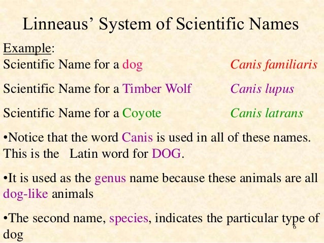 Classification system Classification system