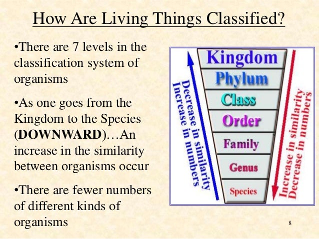 Classification system