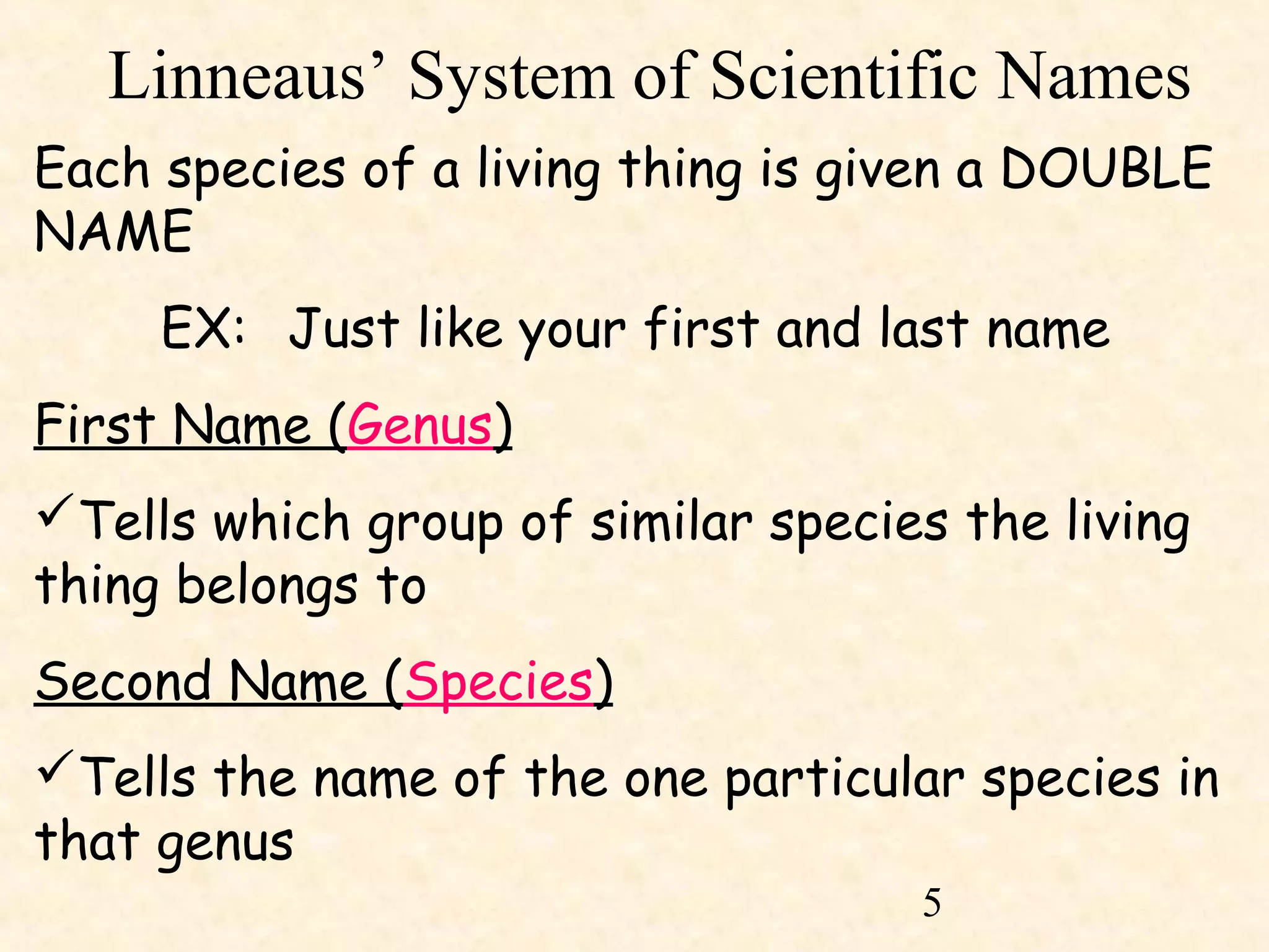 The Definition of CLASSIFICATION | PPT