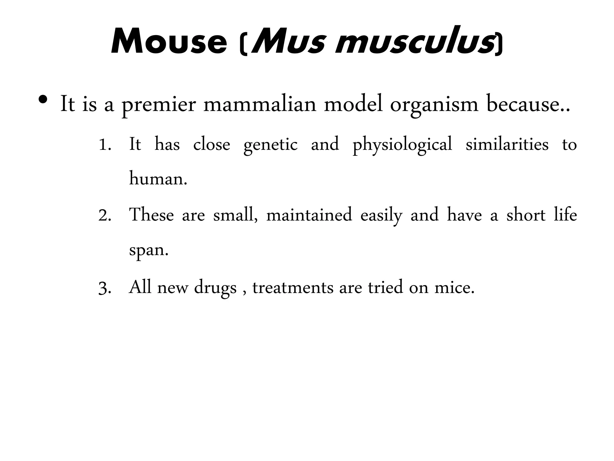 Mouse (Mus musculus)
• It is a premier mammalian model organism because..
1. It has close genetic and physiological similarities to
human.
2. These are small, maintained easily and have a short life
span.
3. All new drugs , treatments are tried on mice.
 