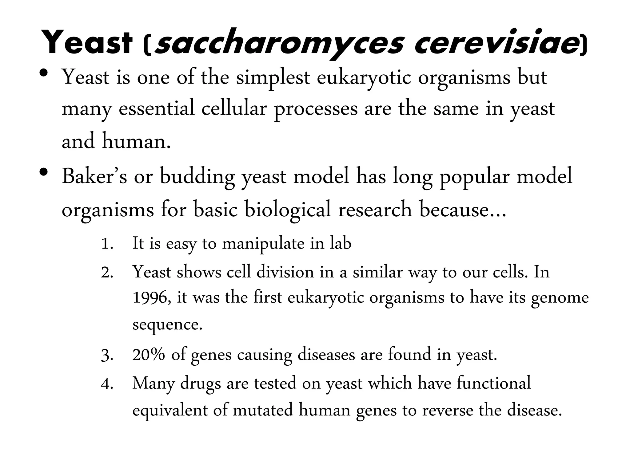 Yeast (saccharomyces cerevisiae)
• Yeast is one of the simplest eukaryotic organisms but
many essential cellular processes are the same in yeast
and human.
• Baker’s or budding yeast model has long popular model
organisms for basic biological research because…
1. It is easy to manipulate in lab
2. Yeast shows cell division in a similar way to our cells. In
1996, it was the first eukaryotic organisms to have its genome
sequence.
3. 20% of genes causing diseases are found in yeast.
4. Many drugs are tested on yeast which have functional
equivalent of mutated human genes to reverse the disease.
 
