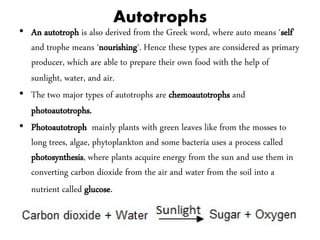CLASSIFICATION SYSTEM IN BIOLOGY.pdf