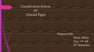 Classification System
Of
Oswald Tippo
Prepared By:
Nasir Abbas
Zoo-19-48
2nd Semester
 
