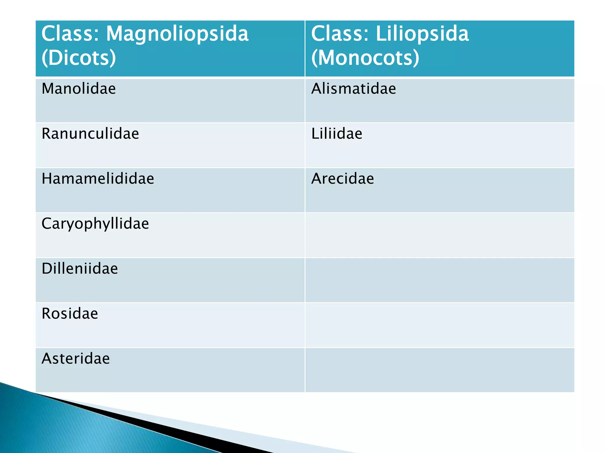 Class: Magnoliopsida
(Dicots)
Class: Liliopsida
(Monocots)
Manolidae Alismatidae
Ranunculidae Liliidae
Hamamelididae Arecidae
Caryophyllidae
Dilleniidae
Rosidae
Asteridae
 