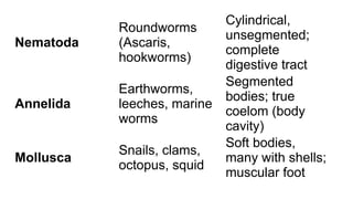 Worm Order Classification Systems_TAXONOMY_SCIENCE8.pptx