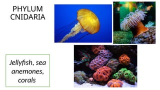Classification Systems_TAXONOMY_SCIENCE8.pptx