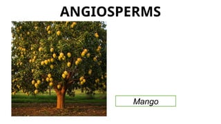 Classification Systems_TAXONOMY_SCIENCE8.pptx