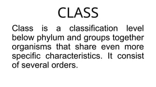 Classification Systems_TAXONOMY_SCIENCE8.pptx