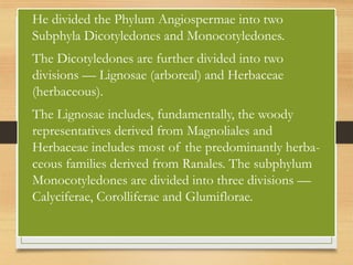 • He divided the Phylum Angiospermae into two
Subphyla Dicotyledones and Monocotyledones.
• The Dicotyledones are further divided into two
divisions — Lignosae (arboreal) and Herbaceae
(herbaceous).
• The Lignosae includes, fundamentally, the woody
representatives derived from Magnoliales and
Herbaceae includes most of the predominantly herba-
ceous families derived from Ranales. The subphylum
Monocotyledones are divided into three divisions —
Calyciferae, Corolliferae and Glumiflorae.
 