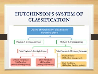 HUTCHINSON’S SYSTEM OF
CLASSIFICATION
 