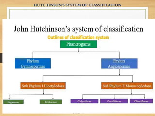 HUTCHINSON’S SYSTEM OF CLASSIFICATION
 