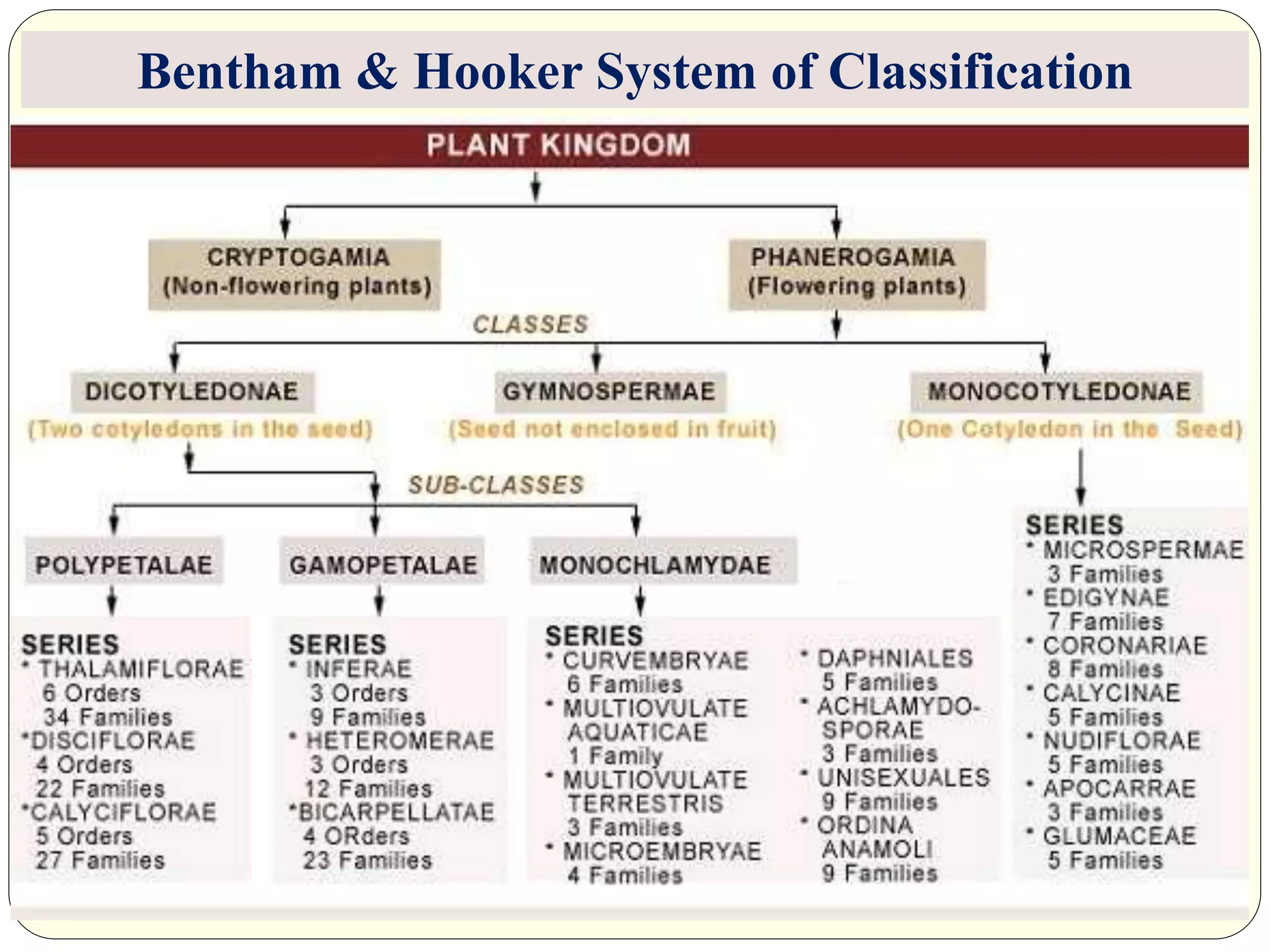 Bentham & Hooker System of Classification
 