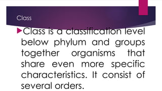 Classification Systems Science Grade 8 PPT | PPTX