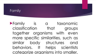 Classification Systems Science Grade 8 PPT | PPTX