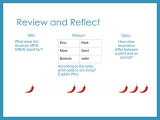 Review and Reflect
Mild
What does the
Acronym MRS
GREN stand for?
Medium
According to the table,
what options are living?
Explain Why.
Spicy
How does
respiration
differ between
a plant and an
animal?
Emu Rock
Moss Sand
Bacteria water
 