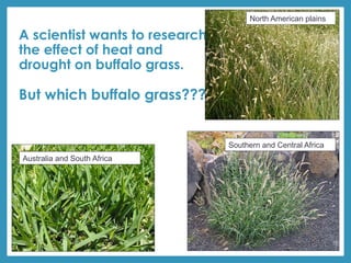A scientist wants to research
the effect of heat and
drought on buffalo grass.
But which buffalo grass???
Southern and Central Africa
Australia and South Africa
North American plains
 