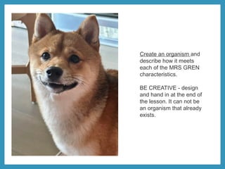 Create an organism and
describe how it meets
each of the MRS GREN
characteristics.
BE CREATIVE - design
and hand in at the end of
the lesson. It can not be
an organism that already
exists.
 