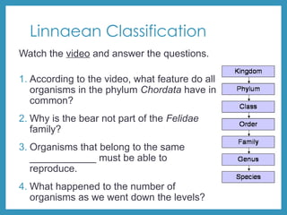 Linnaean Classification
Watch the video and answer the questions.
1. According to the video, what feature do all
organisms in the phylum Chordata have in
common?
2. Why is the bear not part of the Felidae
family?
3. Organisms that belong to the same
____________ must be able to
reproduce.
4. What happened to the number of
organisms as we went down the levels?
 