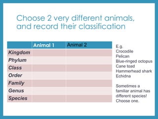 Choose 2 very different animals,
and record their classification
Animal 1 Animal 2
Kingdom
Phylum
Class
Order
Family
Genus
Species
E.g.
Crocodile
Pelican
Blue-ringed octopus
Cane toad
Hammerhead shark
Echidna
Sometimes a
familiar animal has
different species!
Choose one.
 