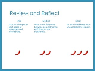 Review and Reflect
Mild
Give an example for
each class of
vertebrate and
invertebrate.
Medium
What is the difference
between an ectothermic,
endothermic and
exothermic.
Spicy
Do all invertebrates have
an exoskeleton? Explain.
 