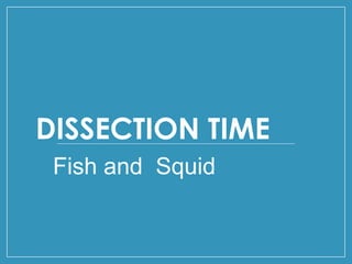 DISSECTION TIME
Fish and Squid
 