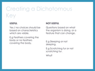 Creating a Dichotomous
Key
USEFUL
Yes / no choices should be
based on characteristics
which are visible.
E.g Feathers covering the
body or no feathers
covering the body.
NOT USEFUL
Questions based on what
the organism is doing, or a
feature that can change.
E.g Sleeping or not
sleeping.
E.g Scratching fur or not
scratching fur.
Why?
 