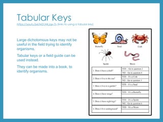 Tabular Keys
https://youtu.be/M51AKJqx-7s (links to using a tabular key)
Large dichotomous keys may not be
useful in the field trying to identify
organisms.
Tabular keys or a field guide can be
used instead.
They can be made into a book, to
identify organisms.
 