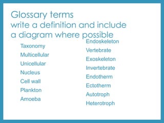 Glossary terms
write a definition and include
a diagram where possible
Taxonomy
Multicellular
Unicellular
Nucleus
Cell wall
Plankton
Amoeba
Endoskeleton
Vertebrate
Exoskeleton
Invertebrate
Endotherm
Ectotherm
Autotroph
Heterotroph
 