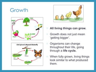 Growth
o All living things can grow.
o Growth does not just mean
‘getting bigger’.
o Organisms can change
throughout their life, going
through a life cycle.
o When fully grown, living things
look similar to what produced
them.
 