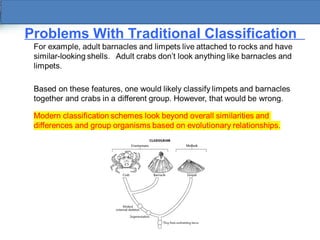 Modern Evolutionary Classification: Understanding Taxonomy, Cladistics ...