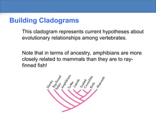 Modern Evolutionary Classification: Understanding Taxonomy, Cladistics ...