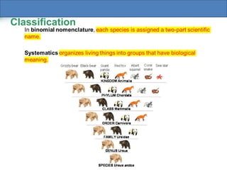 Modern Evolutionary Classification: Understanding Taxonomy, Cladistics ...