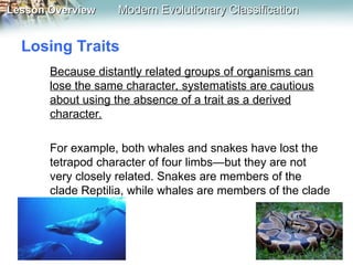 Modern Evolutionary Classification: Understanding Taxonomy, Cladistics ...