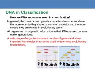 Modern Evolutionary Classification: Understanding Taxonomy, Cladistics ...