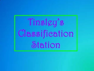 Tinsley’s  Classification Station 