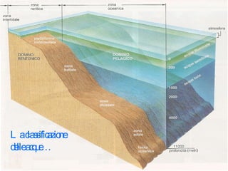 La classificazione delle acque… 