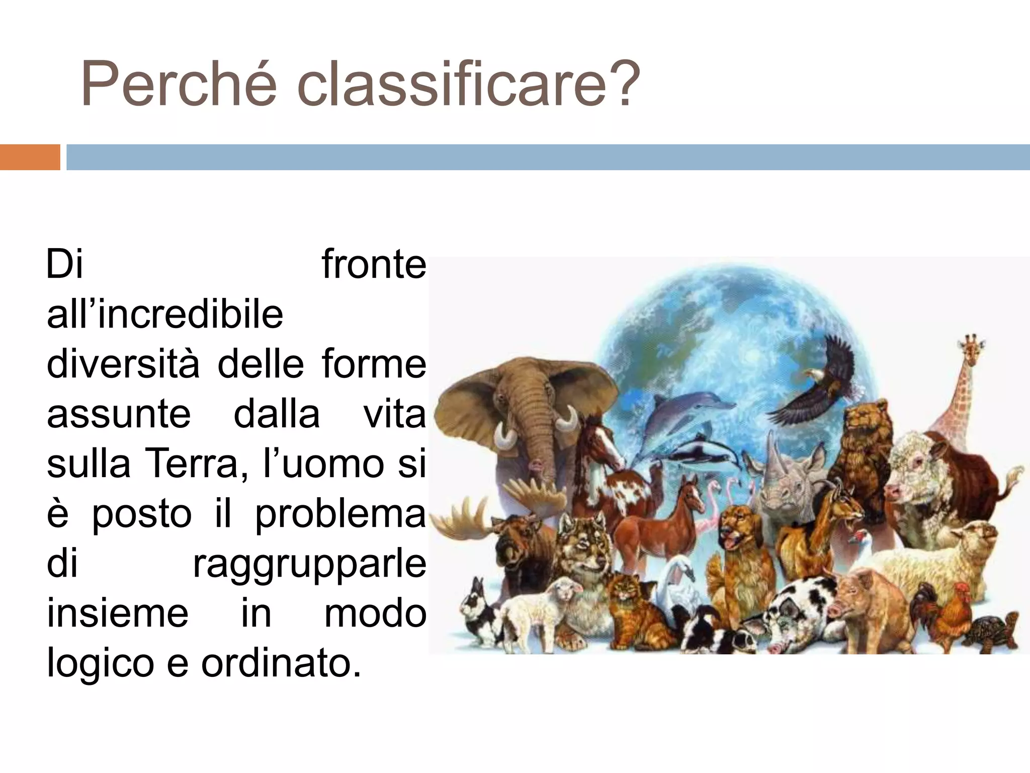 Lo Studio Delle Regole Per La Classificazione Degli Organismi Classificazione e sistemi di classificazione degli organismi | PPT