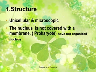 1.Structure
• Unicellular & microscopic
• The nucleus is not covered with a
membrane. ( Prokaryote) have not organized
nucleus
Sudarshana Elapatha
 