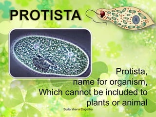Protista,
name for organism,
Which cannot be included to
plants or animal
Sudarshana Elapatha
 