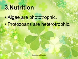 3.Nutrition
• Algae are phototrophic.
• Protozoans are heterotrophic.
Sudarshana Elapatha
 