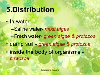 5.Distribution
• In water
–Saline water- most algae
–Fresh water- green algae & protozoa
• damp soil - green algae & protozoa
• inside the body of organisms -
protozoa
Sudarshana Elapatha
 
