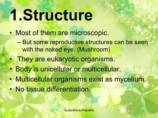 1.Structure
• Most of them are microscopic.
– But some reproductive structures can be seen
with the naked eye. (Mushroom)
• They are eukaryotic organisms.
• Body is unicellular or multicellular.
• Multicellular organisms exist as mycelium.
• No tissue differentiation.
Sudarshana Elapatha
 