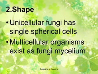 2.Shape
•Unicellular fungi has
single spherical cells
•Multicellular organisms
exist as fungi mycelium
Sudarshana Elapatha
 
