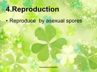 4.Reproduction
• Reproduce by asexual spores
Sudarshana Elapatha
 