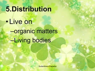 5.Distribution
•Live on
–organic matters
–Living bodies
Sudarshana Elapatha
 